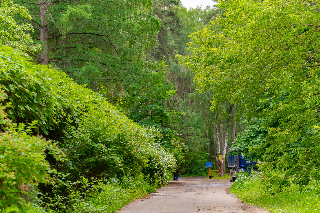 Троице Лыково Фото 54536 Троице Лыково Фото 28788