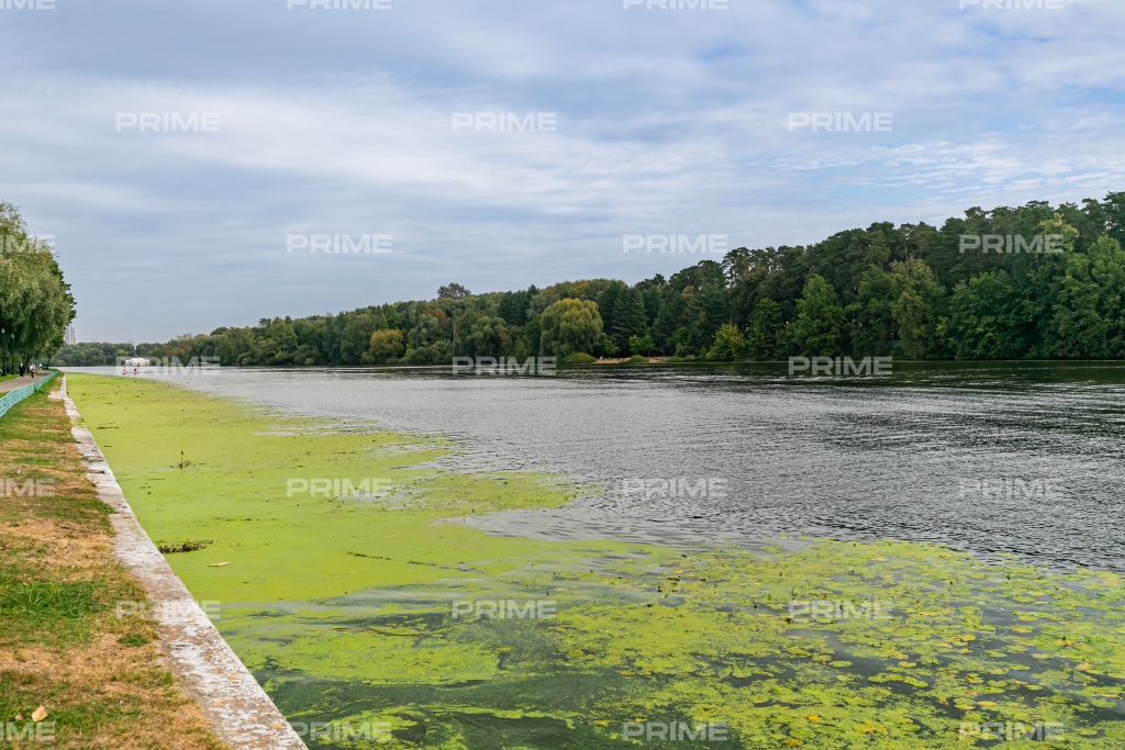 Троице Лыково Фото 7808 Троице Лыково Фото 74677